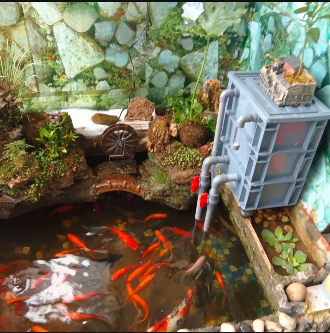 三段式万能濾過器装置　大型水槽池濾過層濾過飼育 オーバーフロー外部飼育濾過槽