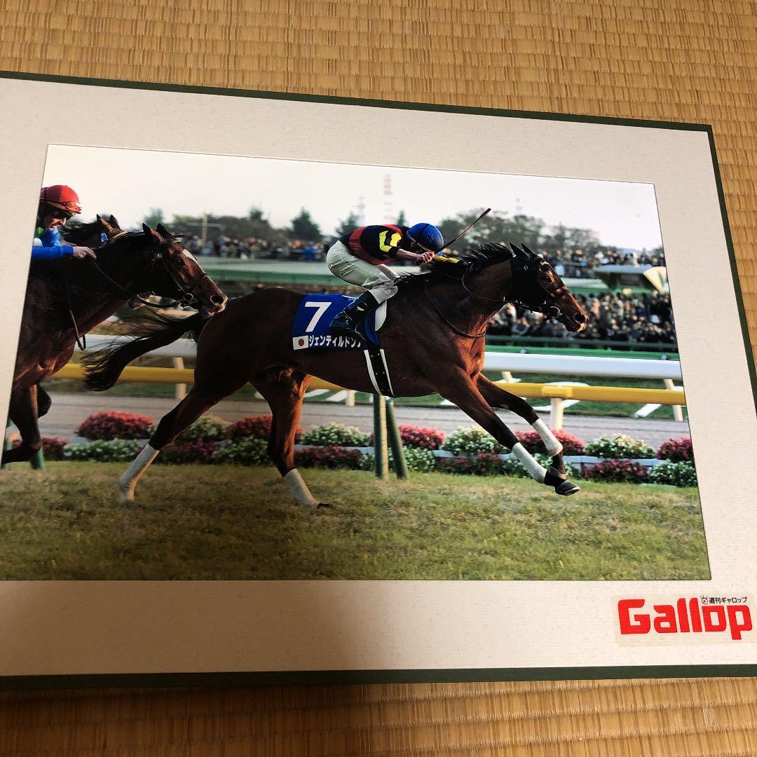 ★【非売品】(２０１３年#ジャパンカップ#ジェンティルドンナパネル)