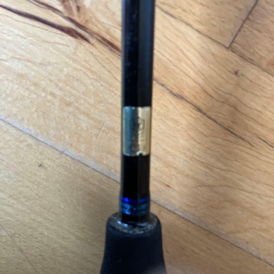 ダイワ　ソルティガ　BJ 411B-6