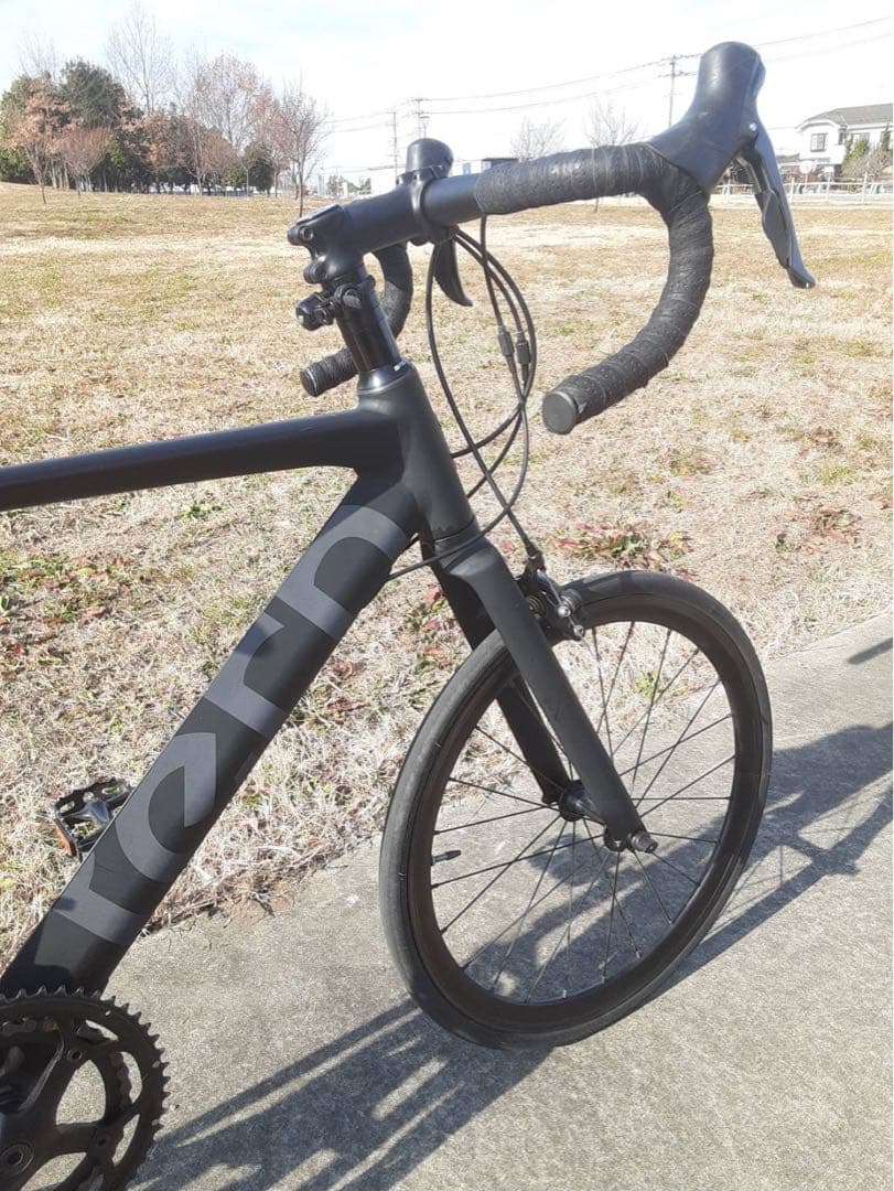 フラワー 　TERN ( ターン ) SURGE