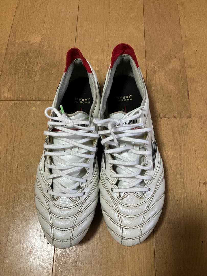 モレリアネオ3 mix