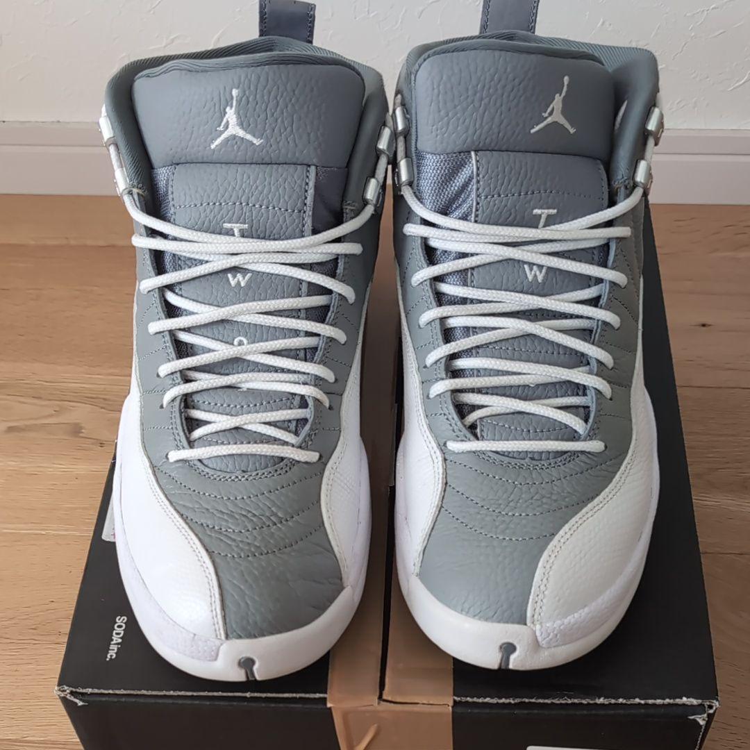 Nike Air Jordan 12 Stealth ジョーダン12 ステルス