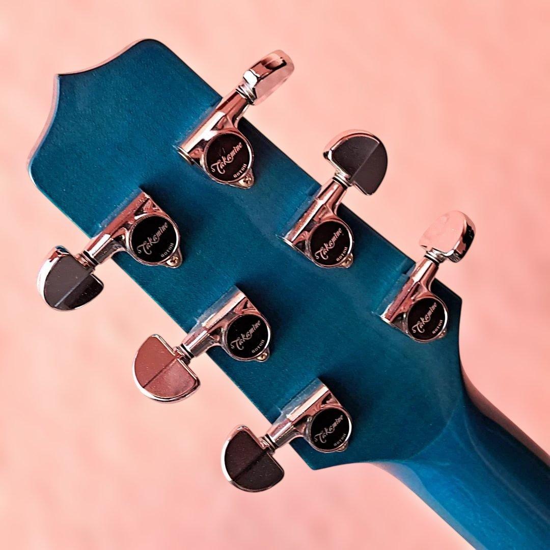 ■Takamine DMP700 N 凪 Nagi 高峰 エレアコ 美品