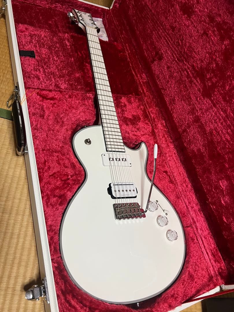 ESP eclipse カスタムオーダーメイド