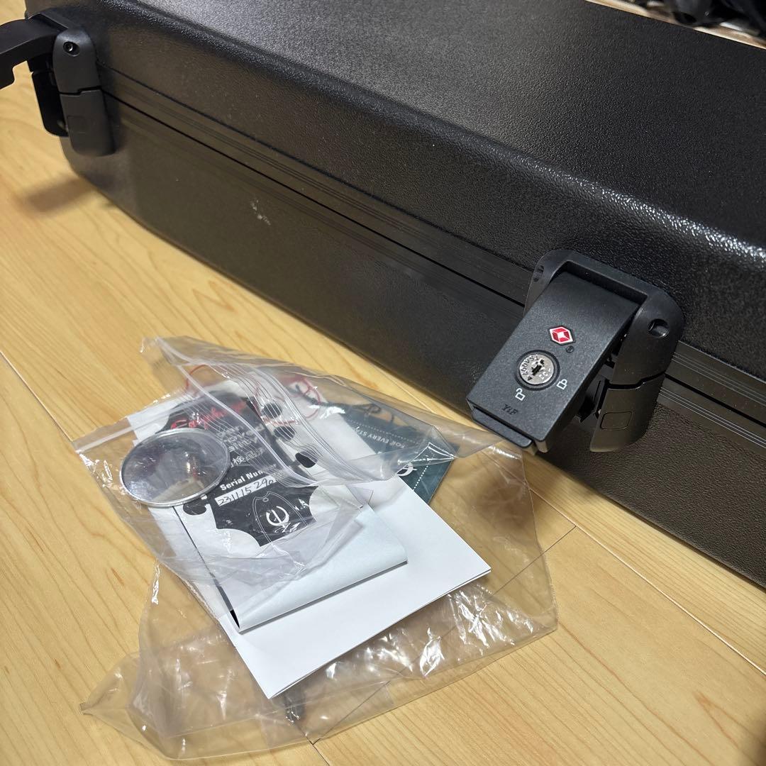 Epiphone Adam Jones ギブソンヘッド 超美品