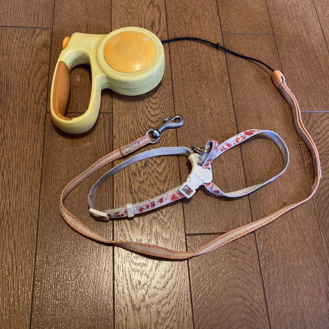 思い出のハーネスとリード　ハーネス　リード