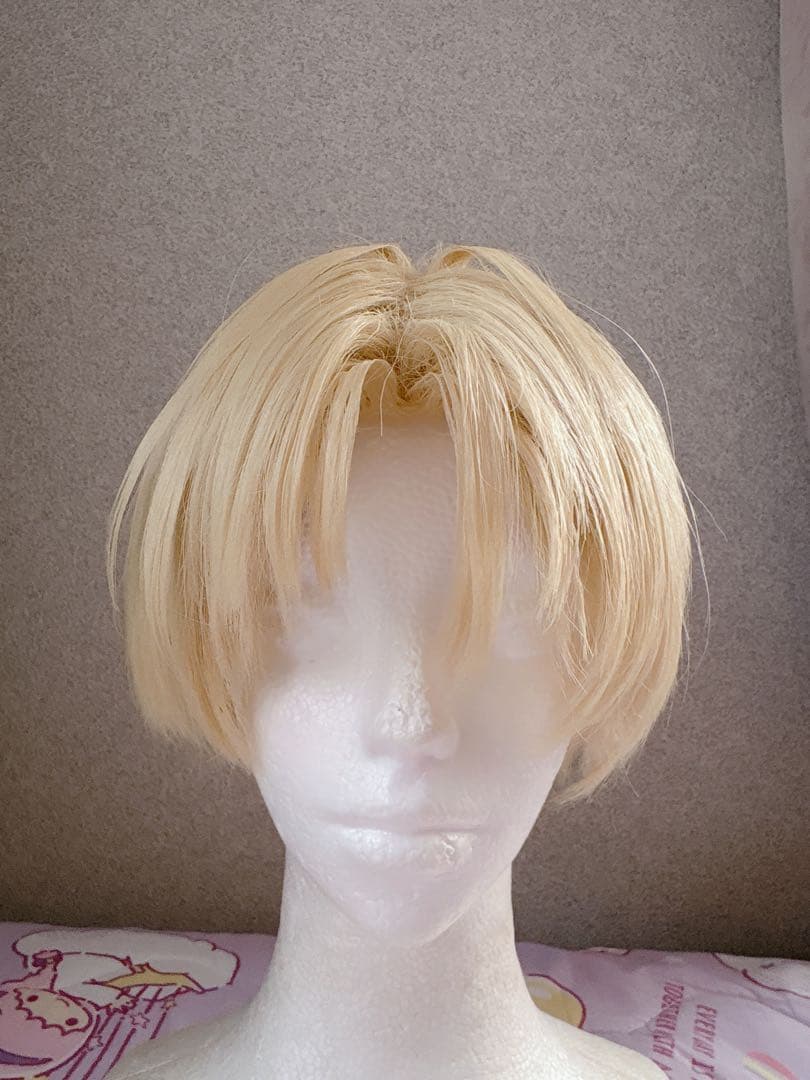 エクスアルビオ 学生 衣装 ウィッグ ローファー セット コスプレ