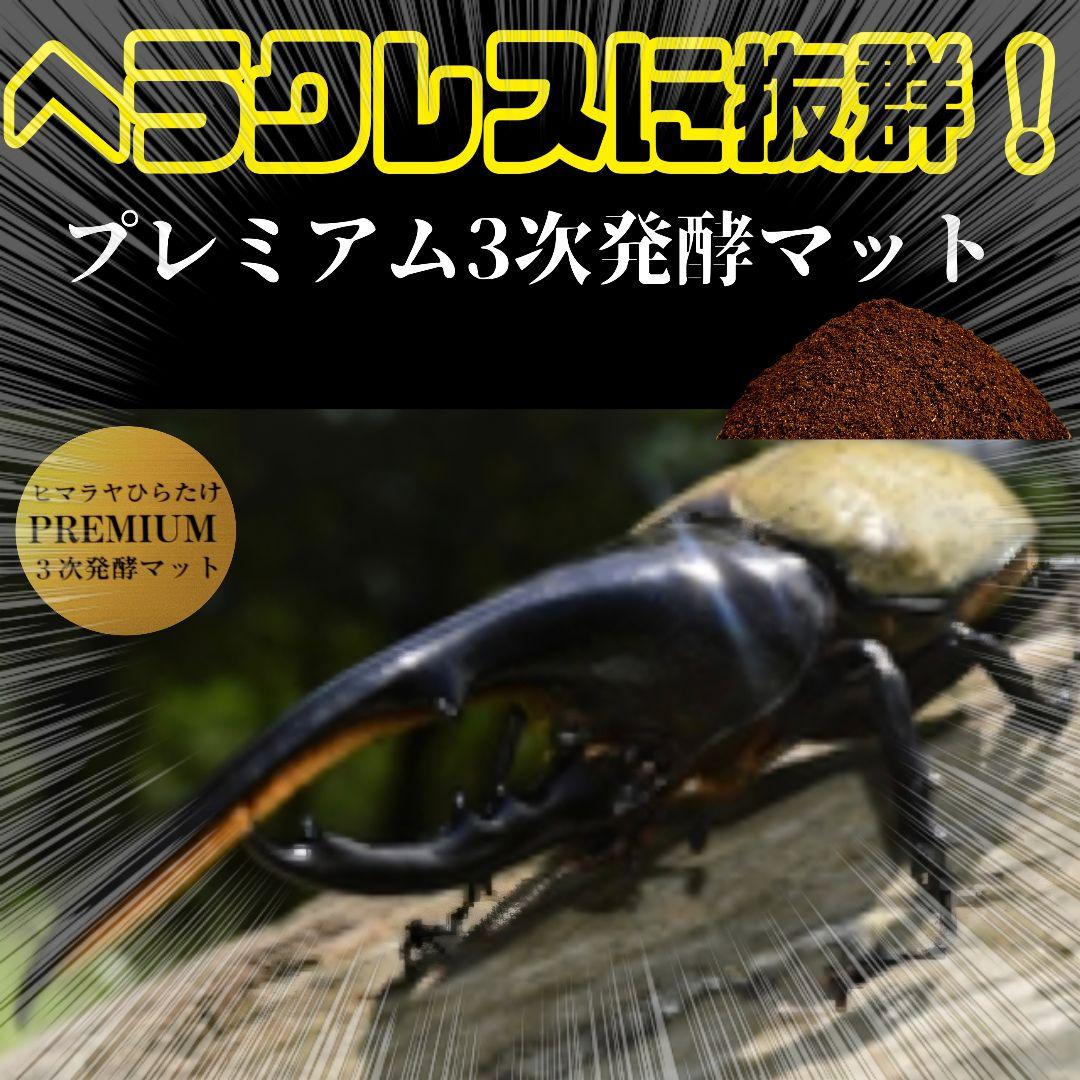 極上品！ヘラクレス181リミ羽化！プレミアム3次発酵カブトムシマット【100L】