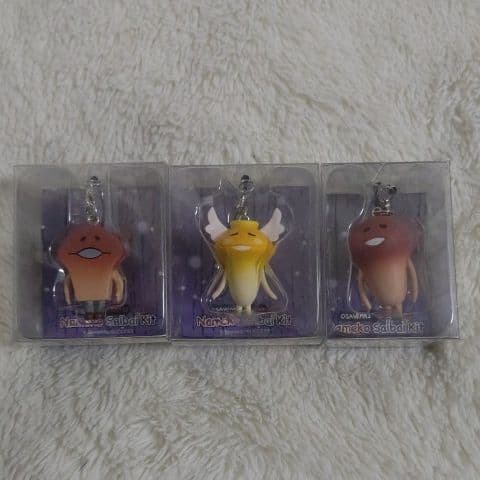 おさわり探偵 なめこ栽培キット