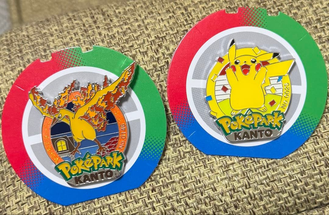 ポケパークカントー ピカチュウ ファイヤー セット ピンズ ポケモン ピンバッチ