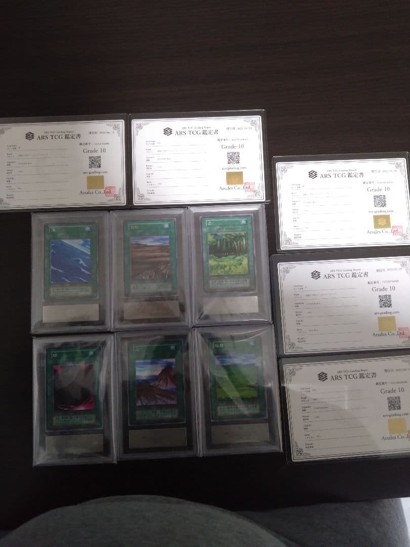ARS10　山　森　海　闇　草原　荒野　初期　スターターボックス　遊戯王