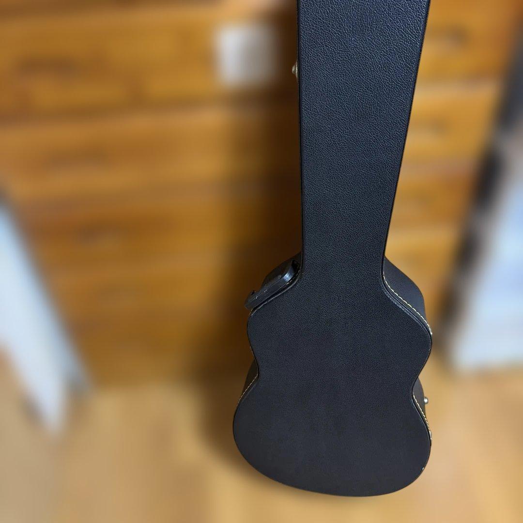 アコースティックギター ハードケース付き　シーガル　S6＋FOLK