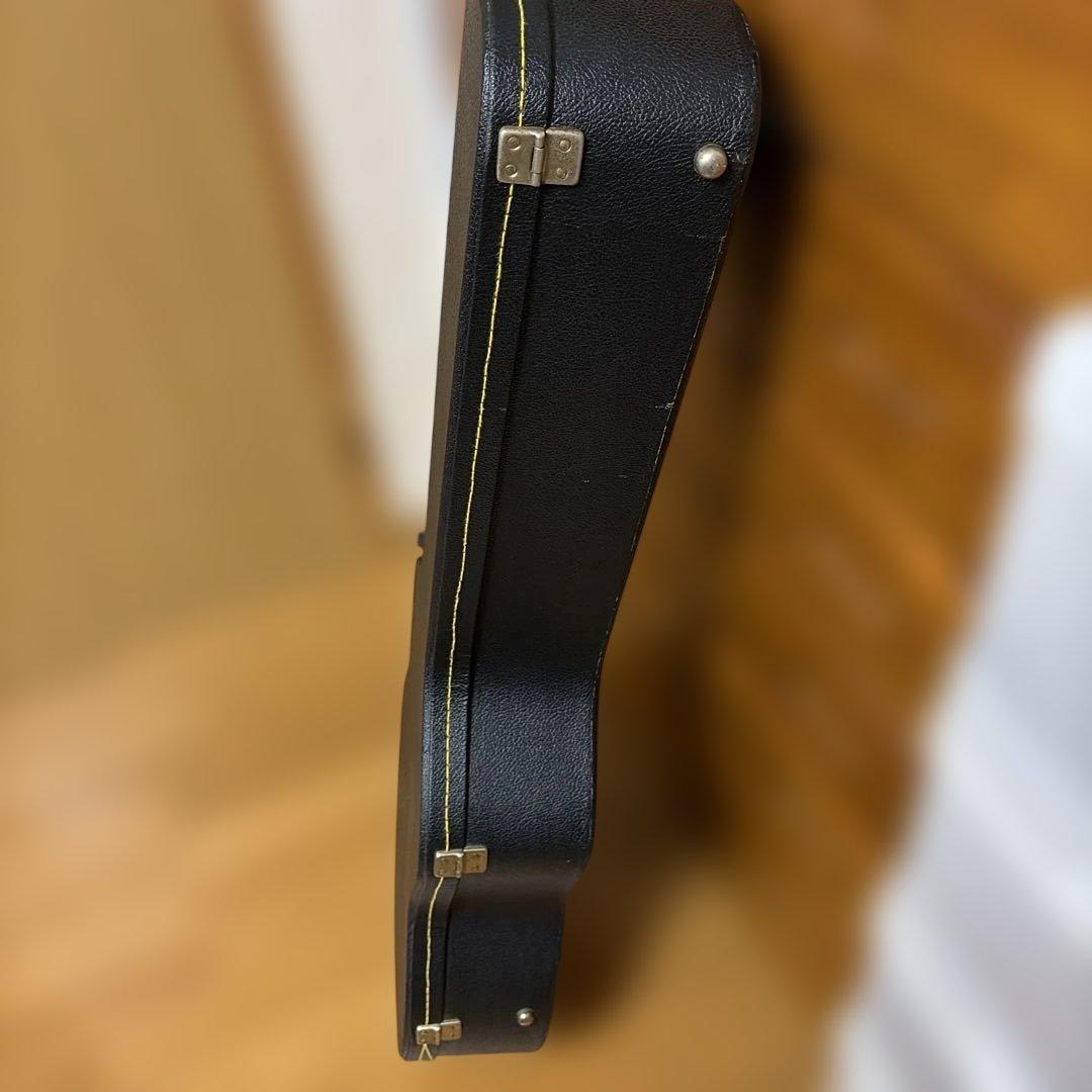 アコースティックギター ハードケース付き　シーガル　S6＋FOLK