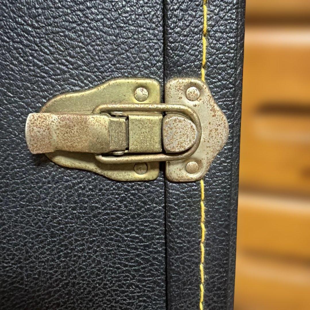 アコースティックギター ハードケース付き　シーガル　S6＋FOLK