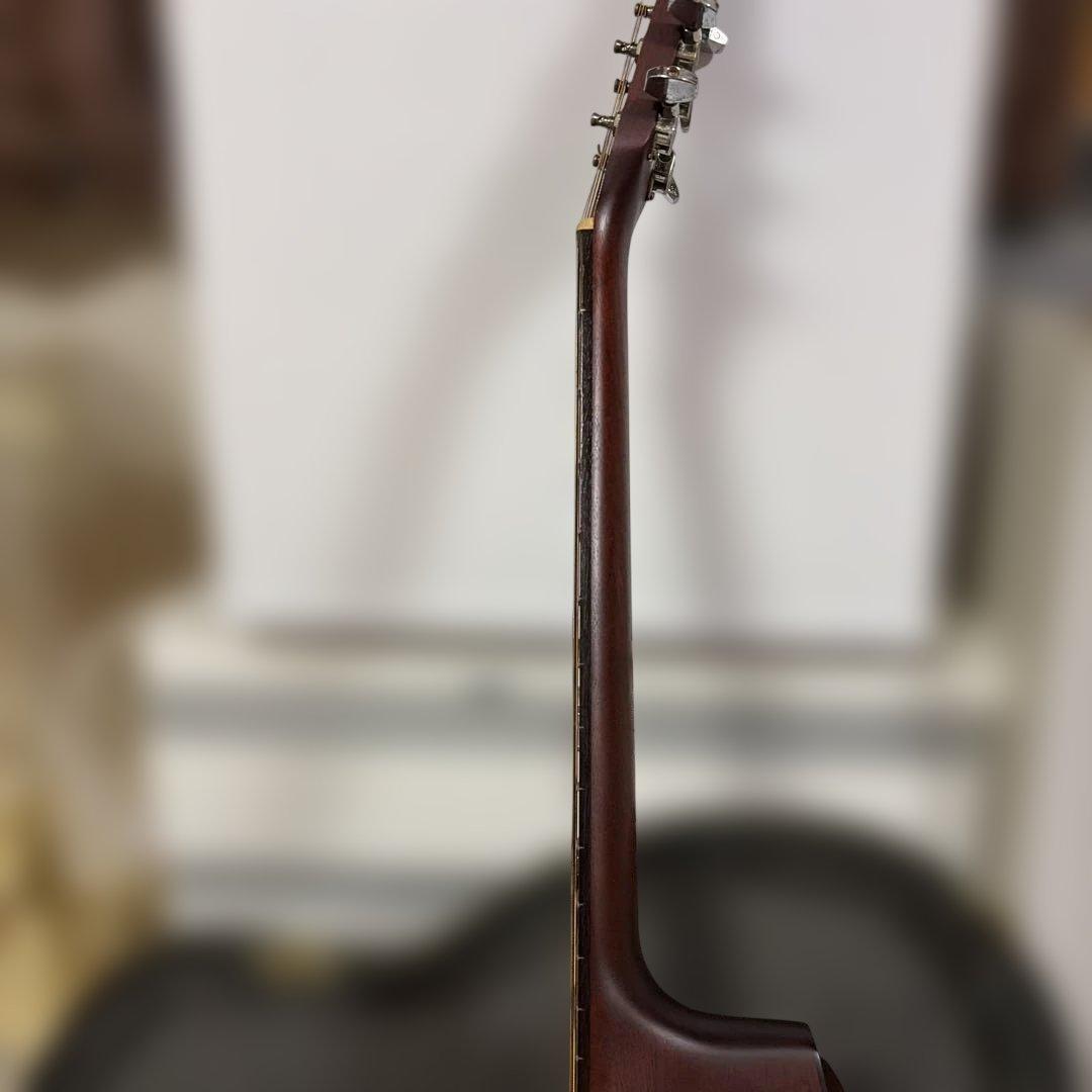 アコースティックギター ハードケース付き　シーガル　S6＋FOLK