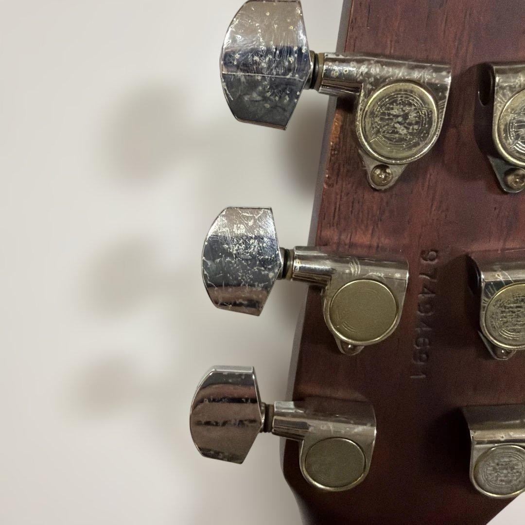 アコースティックギター ハードケース付き　シーガル　S6＋FOLK