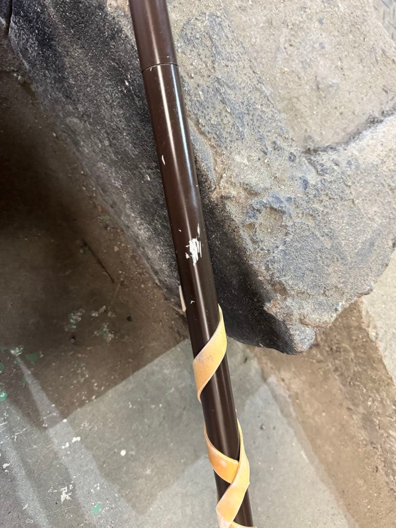 崩壊スターレイル 丹恒・騰荒 コスプレ衣装＋尻尾 +ウィッグ＋武器