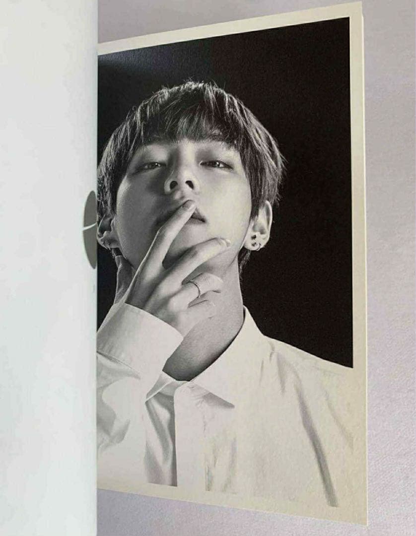 the wings tour ウィングズ ツアー 2017 フォトブック