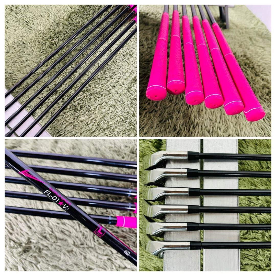 ワールドイーグル FL-01☆V2 10本セット レディースゴルフ 初心者 入門