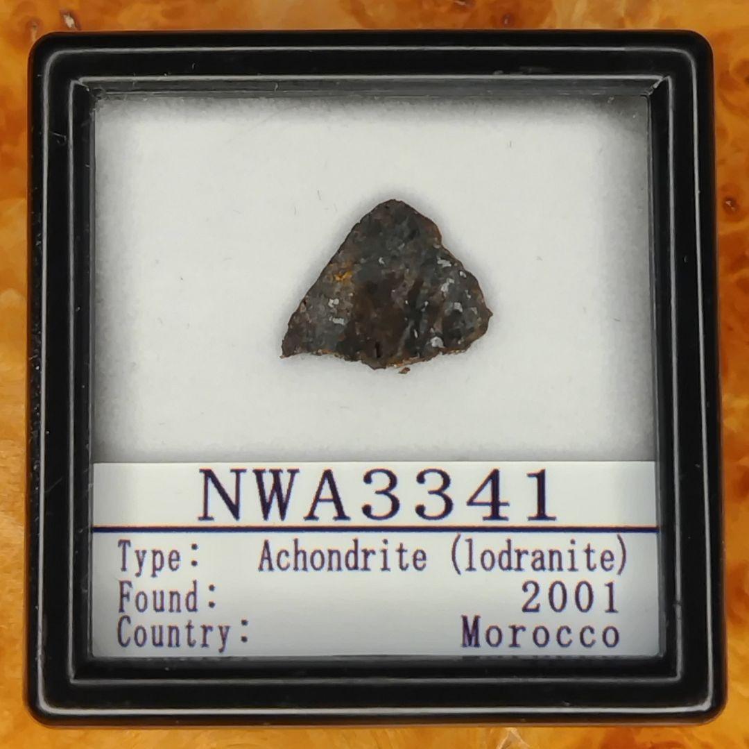 超希少！ロードラナイト✨NWA3341（原始的無球粒）隕石標本