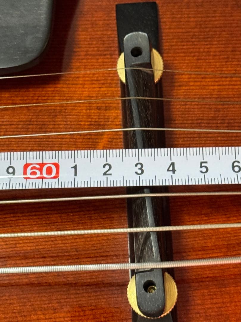 Eastman T-145SM 17st 7弦フルアコ スペシャルオーダー