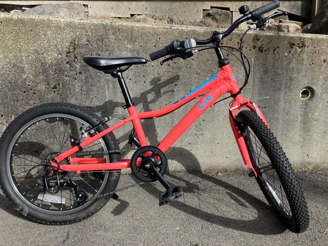 Giant 子供用自転車 20インチ