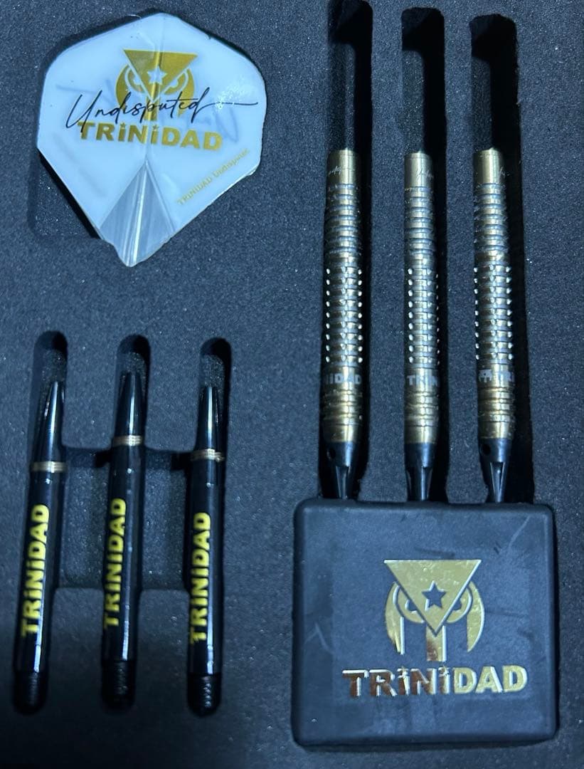 【美品】TRiNiDAD RICARDO 浅田斉吾モデル リカルト　トリニダード