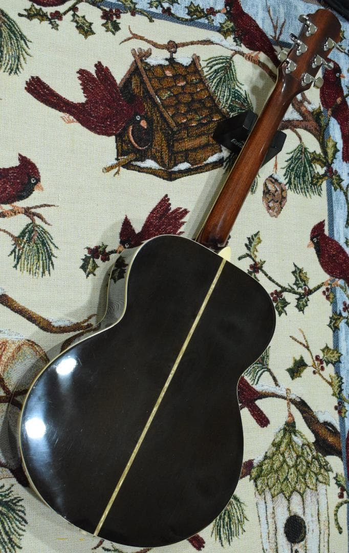 Aria Meister AMS-01BS アコギ