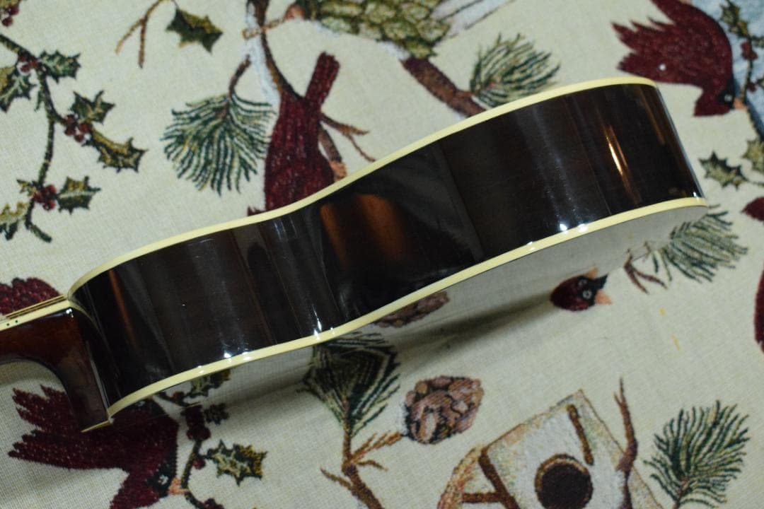 Aria Meister AMS-01BS アコギ