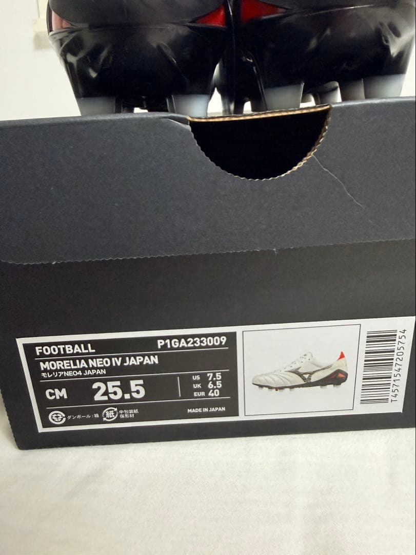 モレリアネオ4β