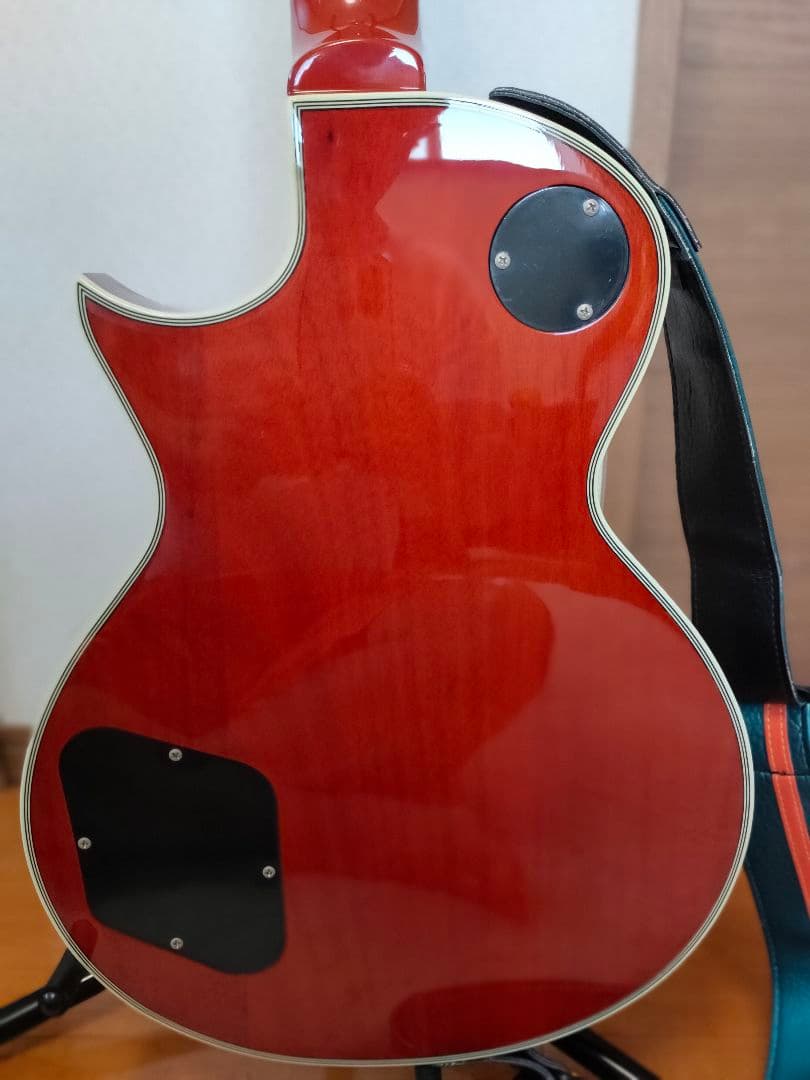 G-レオン -HIROKAZ Signature Model ESPカスタム