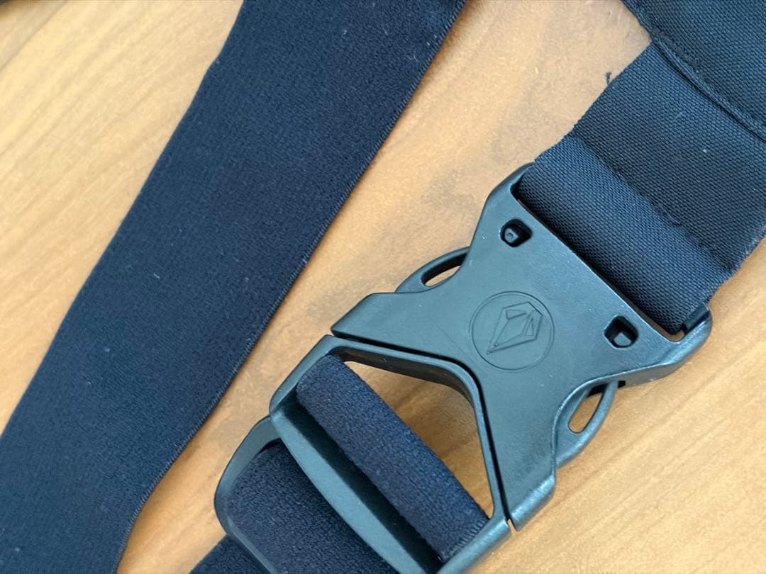 VOLCOM オーバーオールRoan Bib Overall メンズ　ビブパンツ