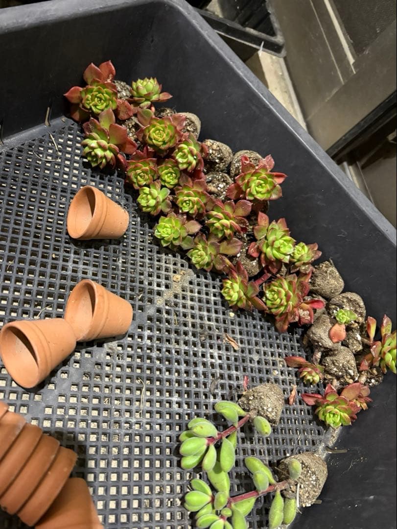 ☆彩乃助☆様 おまとめ追加用