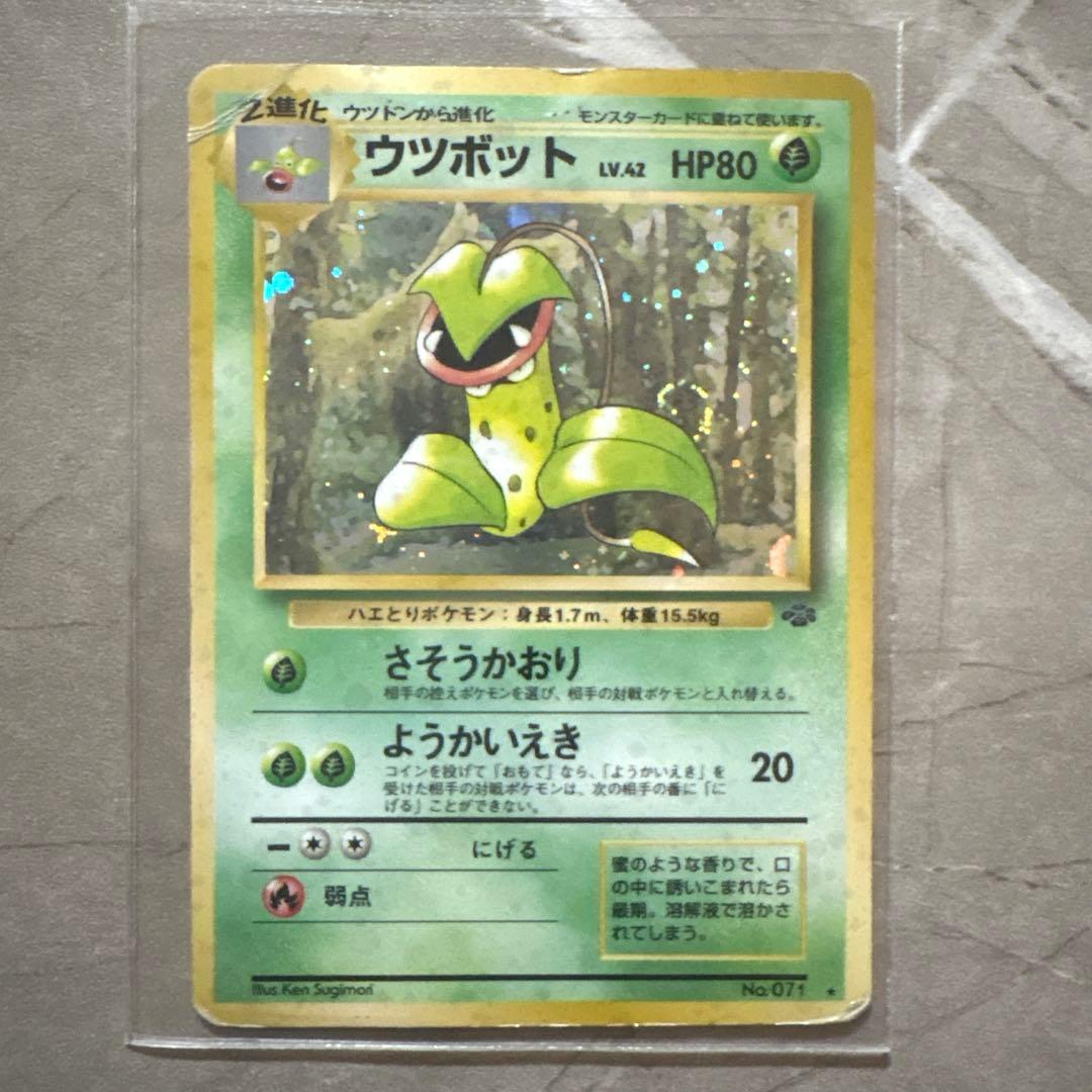 【極希少15枚】旧裏 わるいリザードン フシギバナ ブイズ他 まとめ売り