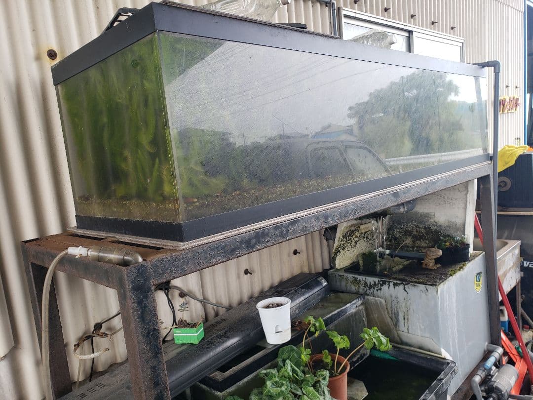 引取限定　1800　オーバーフロー水槽　アクリル　濾過槽　レイシーポンプ