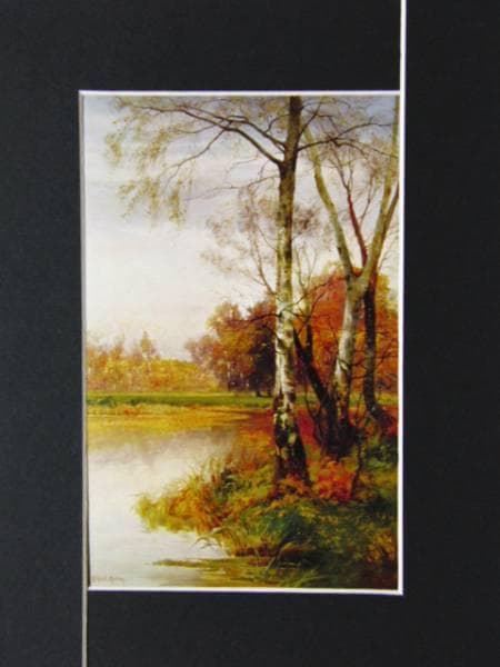 A・ヘンレー、川辺の白樺、希少画集の一頁、 新品高級額装付