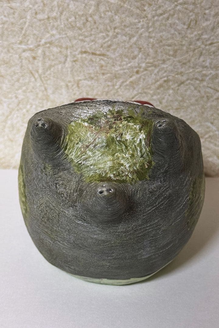 【最終価格・値下げ不可】TENDOBOTANICAL グラ丸1