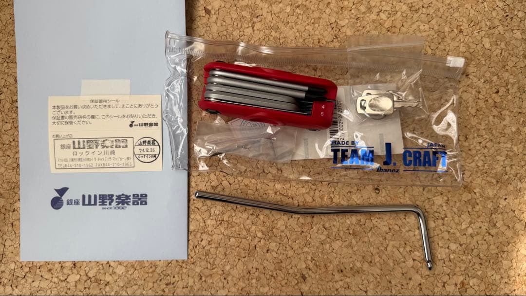 Ibanez AZ2402 2024年12月購入