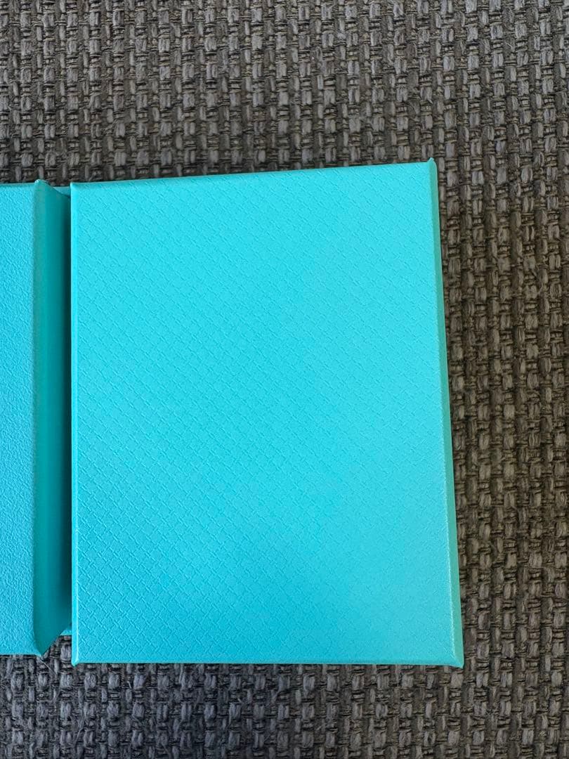 現行品　極美品　ティファニー　空箱　巾着袋　取扱説明書 10セット