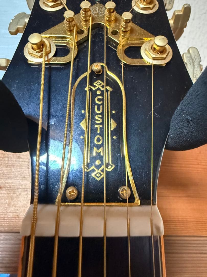 Epiphone Wildkat トンデモ改造品　ビザールギター