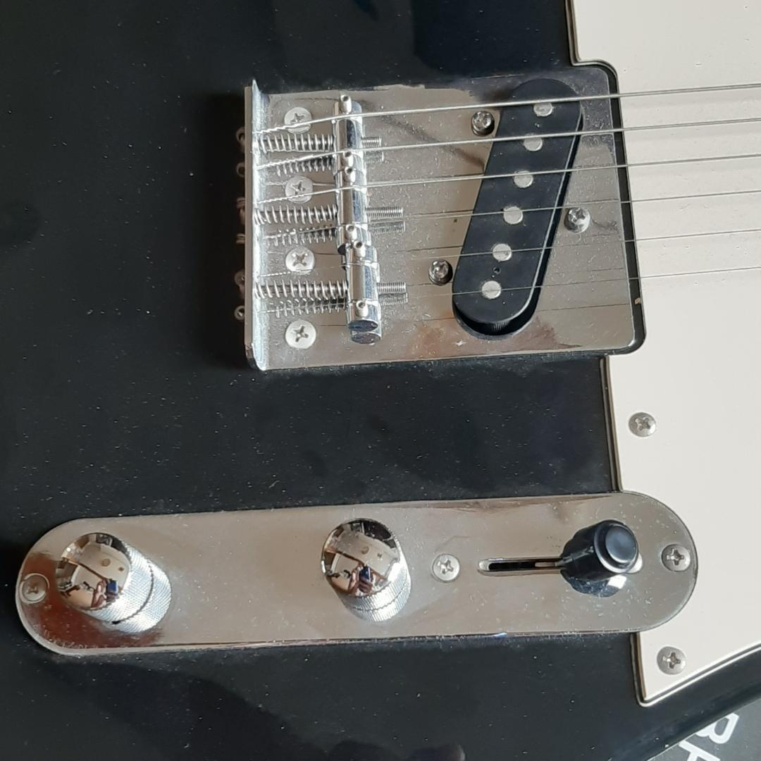 Bloom テレキャスター タイプ エレキ ギター