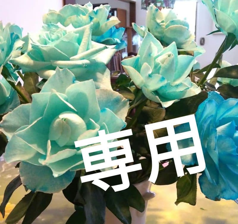 ブースター・導入液 oshiiiBOX