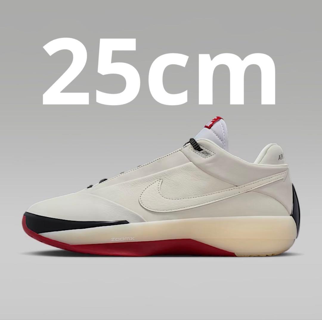 【新品未使用】エア ジョーダン 40 PF シカゴ25cm