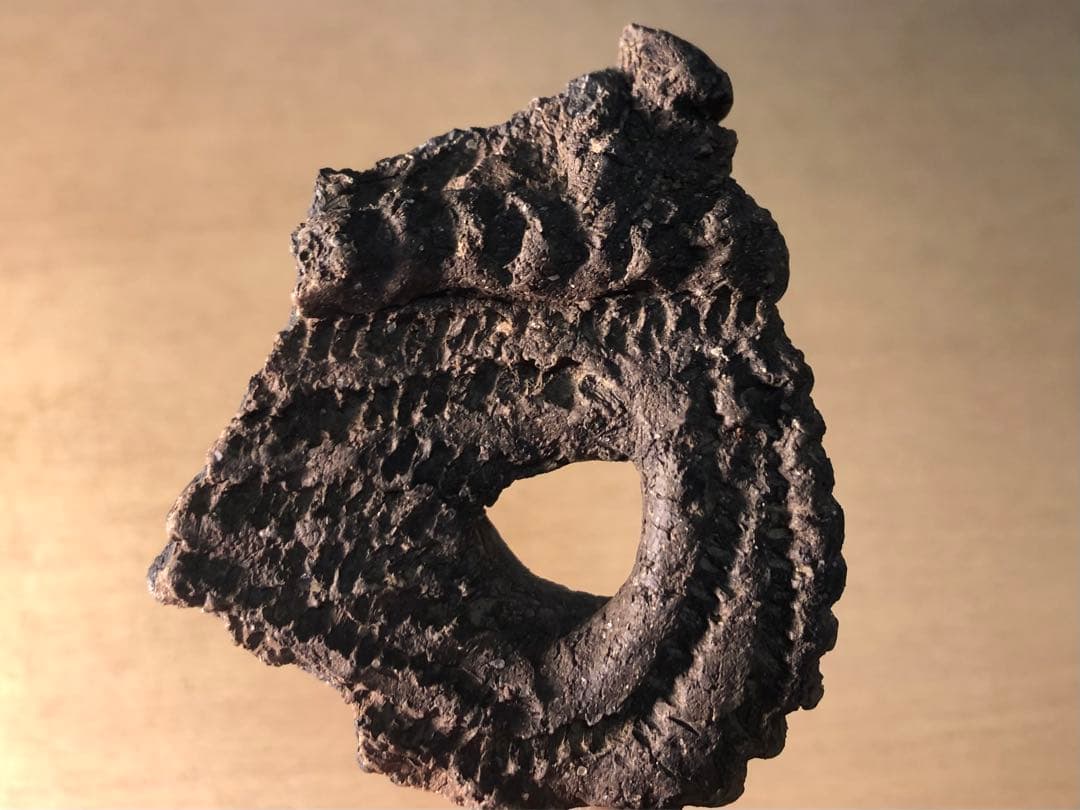 「土器の欠片 縁の部分 No.660」です。