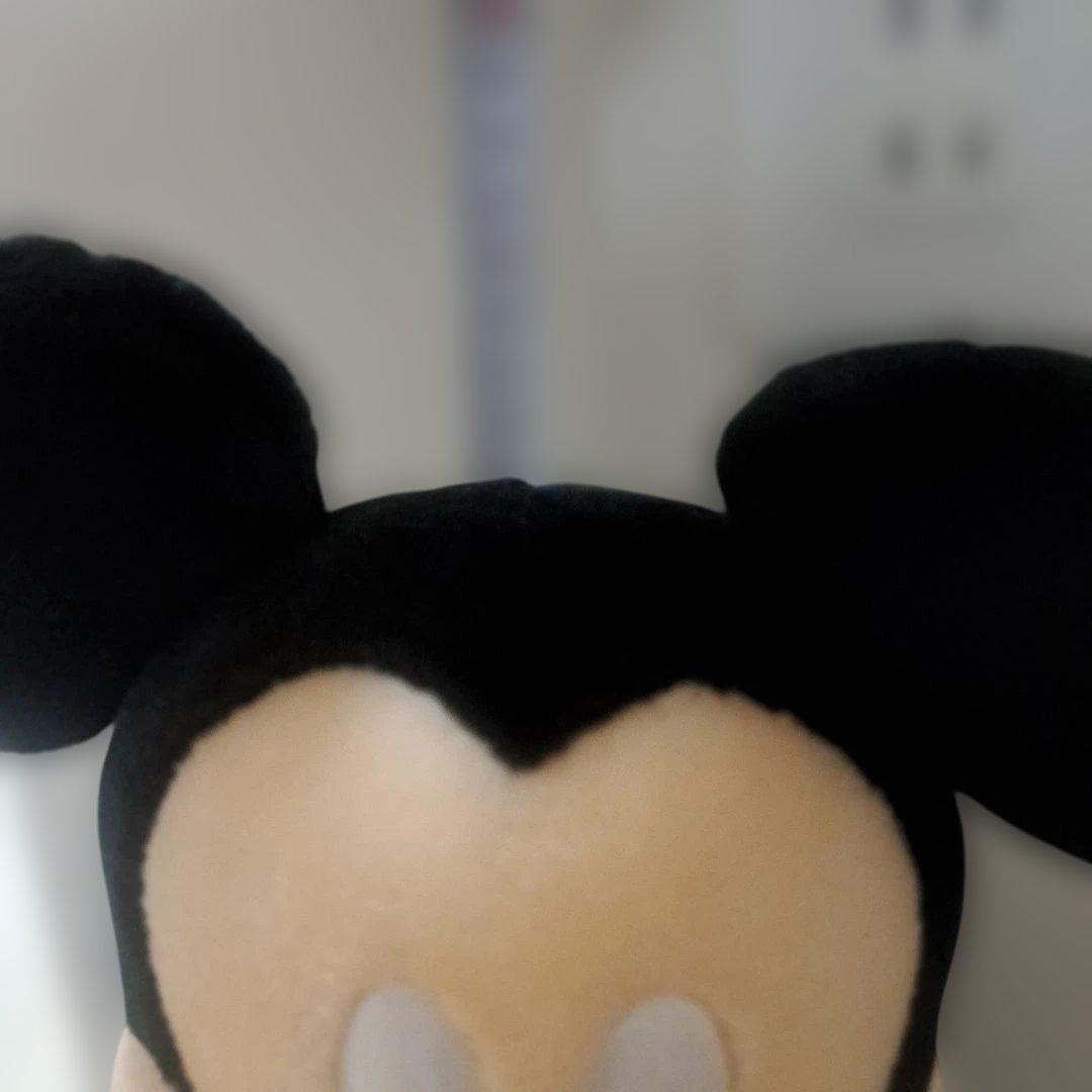 東京ディズニーランド 20周年 ミッキー ぬいぐるみ