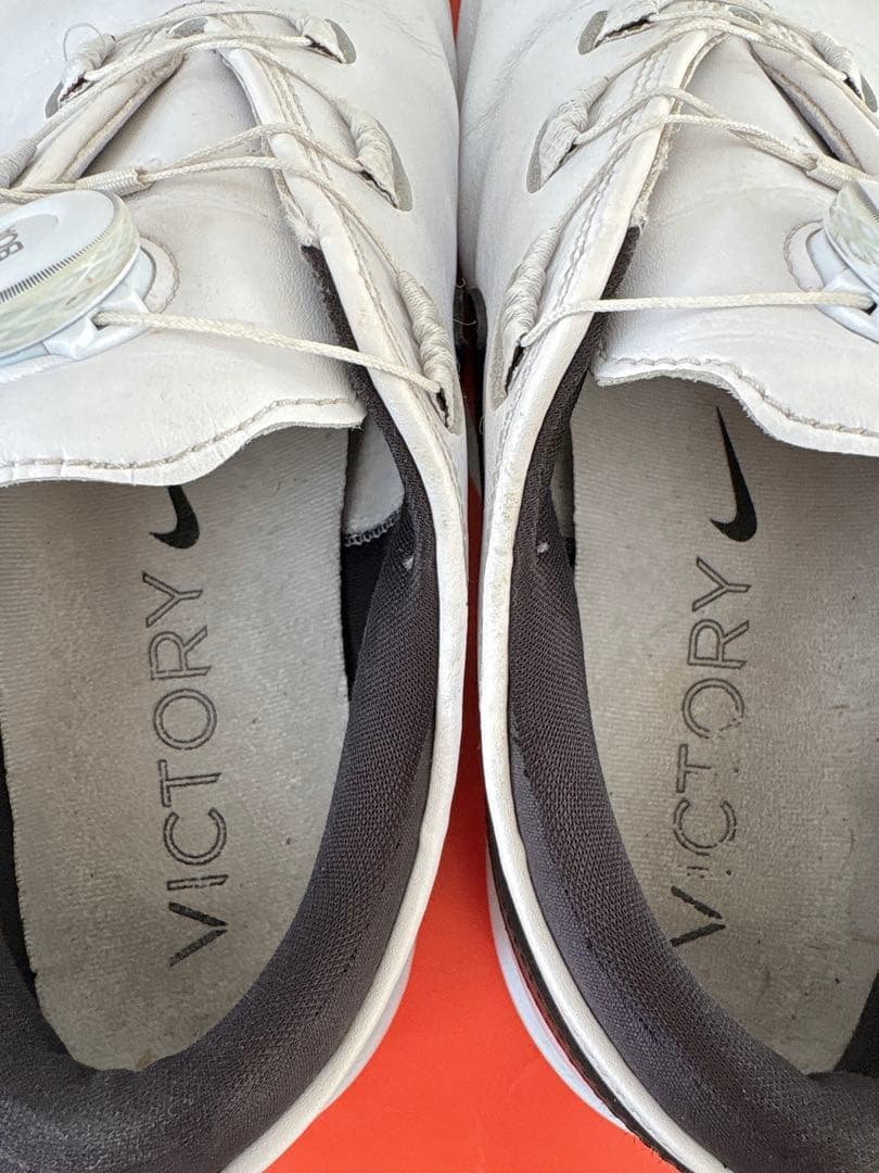 【送料無料】NIKE ゴルフシューズ 30センチ