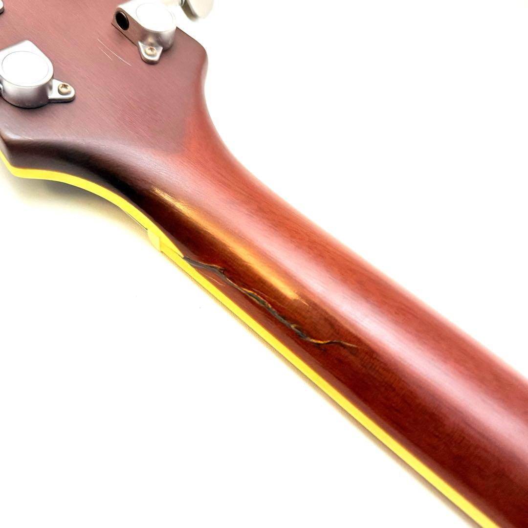 【希少】Alden ZEMATIS 風 エレキギター