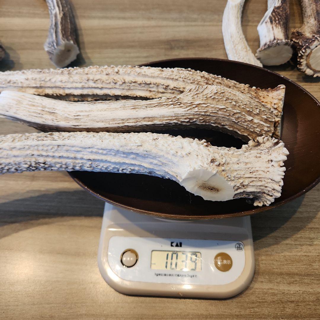鹿の角　ランダム５kgセット