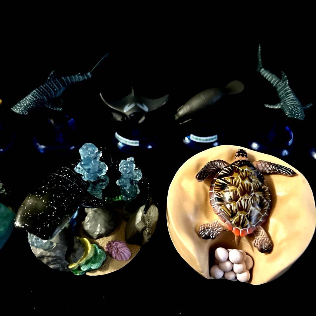激レア 沖縄美ら海水族館 カプセルフィギュアコレクション