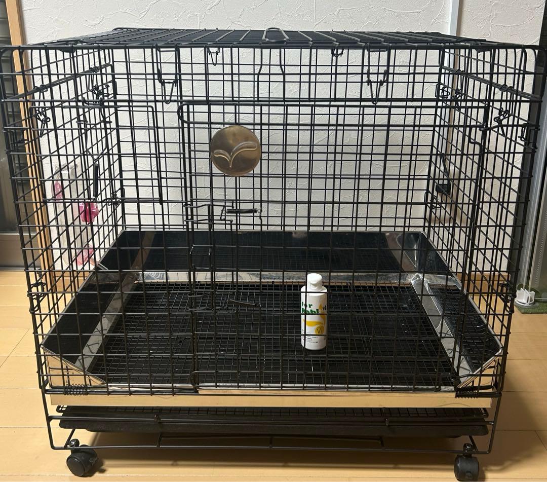 プロゲージ　うさぎのしっぽ　60 うさぎゲージ